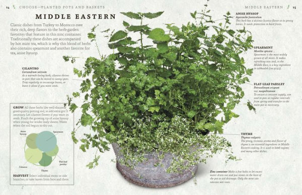 The Cook's Herb Garden: Grow, Harvest, Cook