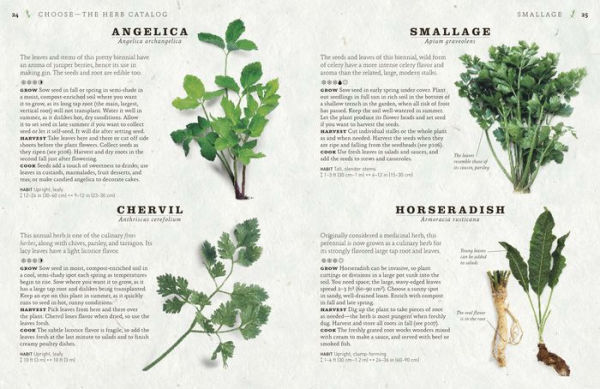 The Cook's Herb Garden: Grow, Harvest, Cook