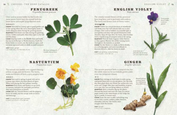 The Cook's Herb Garden: Grow, Harvest, Cook