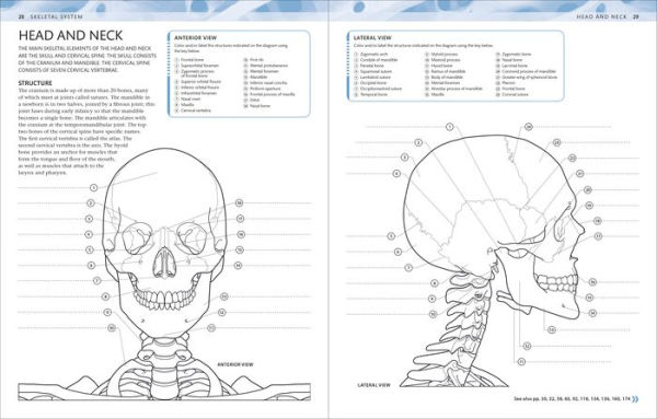 The Human Body Coloring Book: The Ultimate Anatomy Study Guide