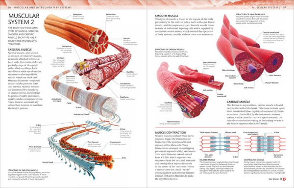 The Human Body Coloring Book: The Ultimate Anatomy Study Guide