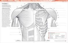 Alternative view 4 of The Human Body Coloring Book: The Ultimate Anatomy Study Guide