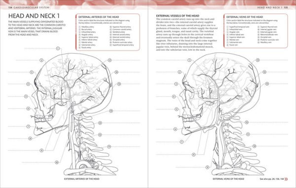 The Human Body Coloring Book: The Ultimate Anatomy Study Guide