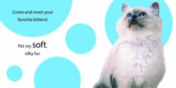 Alternative view 2 of Touch and Feel: Kitten