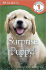 Surprise Puppy (DK Readers Series Level 1)