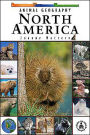 Animal Geography: North America