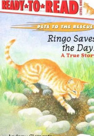 Ringo Saves the Day!: A True Story