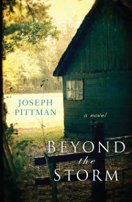 Beyond the Storm