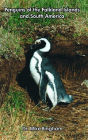 Penguins of the Falkland Islands and South America