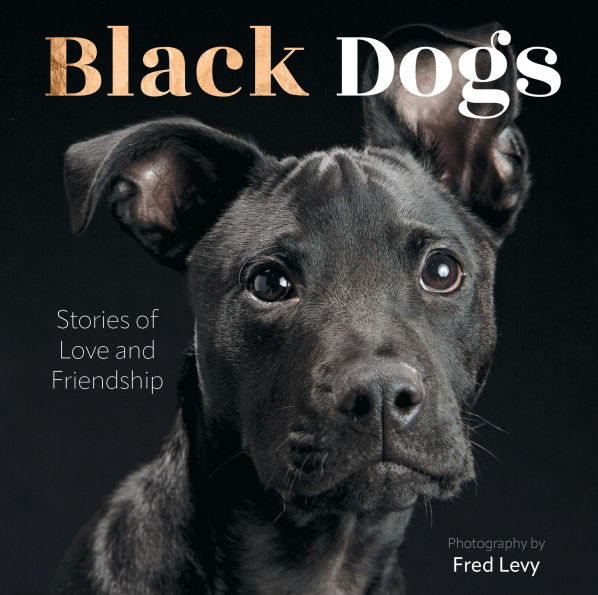 Black Dogs: Stories of Love and Friendship