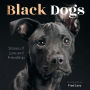 Black Dogs: Stories of Love and Friendship
