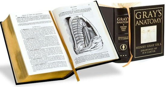 Gray's Anatomy (Barnes & Noble Collectible Editions) by