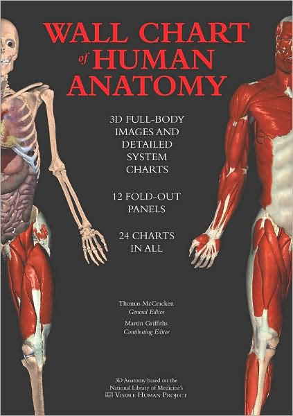 Wall Chart of Human Anatomy: 3D Full-Body Images and Detailed System