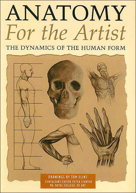 anatomy for the artist the dynamics of the human form