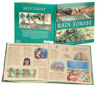 Rain Forest (Panoramas Series)