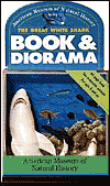 The Great White Shark & Diorama