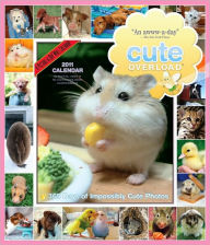2011 Cute Overload Picture-A-Day