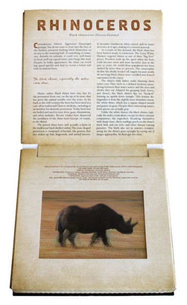 Safari: A Photicular Book