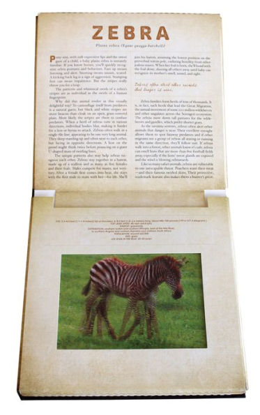 Safari: A Photicular Book