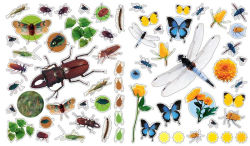 Alternative view 12 of Eyelike Stickers: Bugs