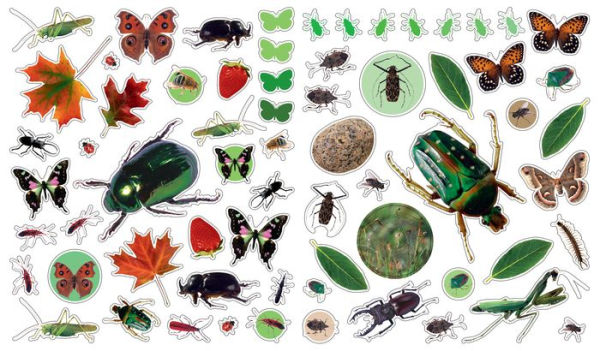 Eyelike Stickers: Bugs