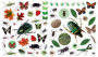 Alternative view 5 of Eyelike Stickers: Bugs