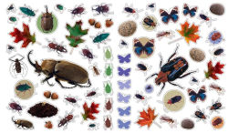 Alternative view 6 of Eyelike Stickers: Bugs
