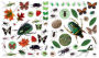 Alternative view 8 of Eyelike Stickers: Bugs