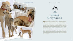 Alternative view 9 of Unlikely Heroes: 37 Inspiring Stories of Courage and Heart from the Animal Kingdom