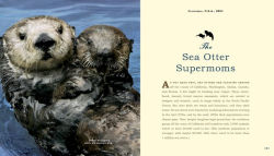 Alternative view 10 of Unlikely Heroes: 37 Inspiring Stories of Courage and Heart from the Animal Kingdom