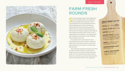 Alternative view 2 of One-Hour Cheese: Ricotta, Mozzarella, Chevre, Paneer--Even Burrata. Fresh and Simple Cheeses You Can Make in an Hour or Less!