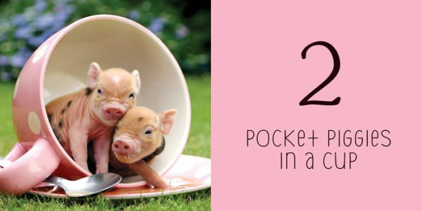 Pocket Piggies Numbers!: Featuring the Teacup Pigs of Pennywell Farm