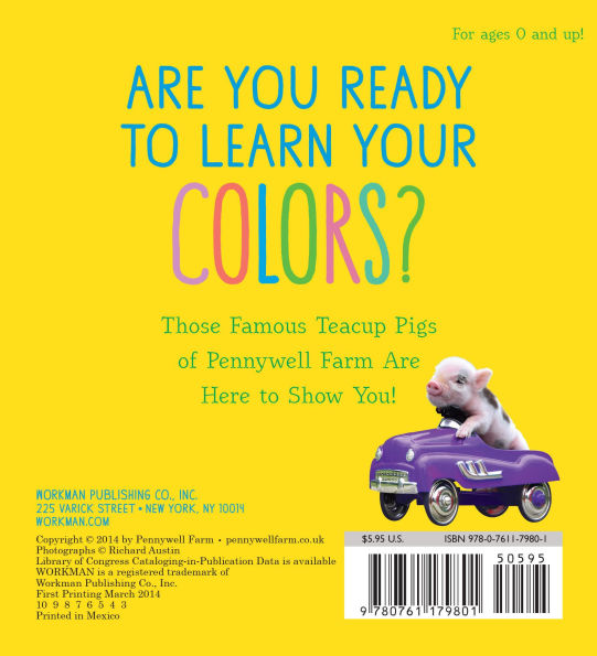 Pocket Piggies Colors!: Featuring the Teacup Pigs of Pennywell Farm