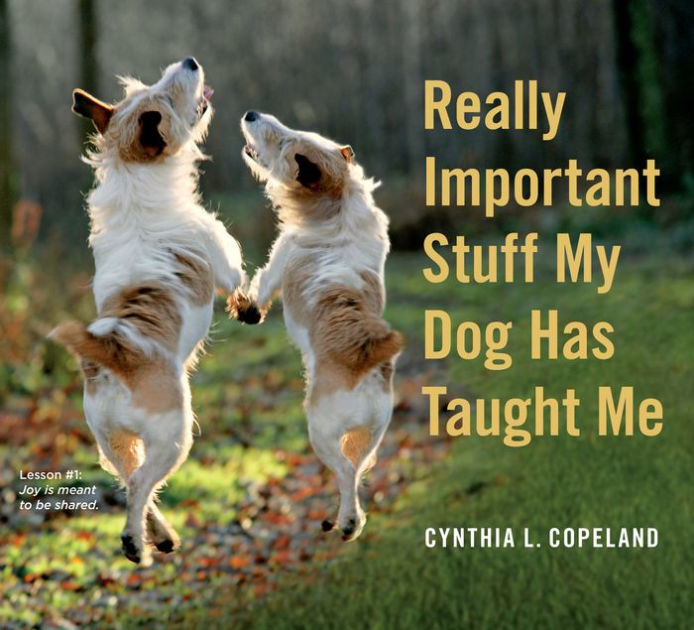 really important stuff my dog has taught me