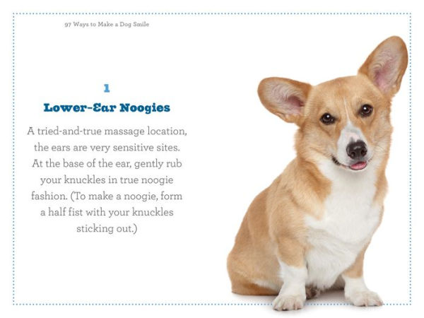 97 Ways to Make a Dog Smile