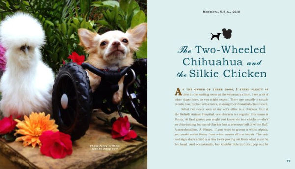 Unlikely Friendships: Dogs: 37 Stories of Canine Compassion and Courage