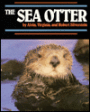 Sea Otter