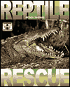 Reptile Rescue