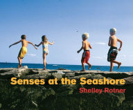 Senses at the Seashore