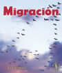 Migracion (Migration)