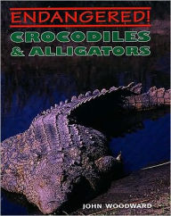 Crocodiles & Alligators