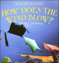 How Does the Wind Blow?