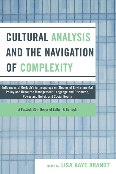 Cultural Analysis and the Navigation of Complexity