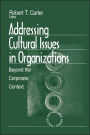 Addressing Cultural Issues in Organizations: Beyond the Corporate Context / Edition 1