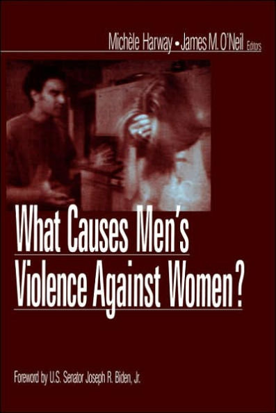 What Causes Men's Violence Against Women? / Edition 1