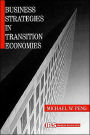 Business Strategies in Transition Economies / Edition 1