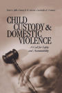 Child Custody and Domestic Violence: A Call for Safety and Accountability / Edition 1