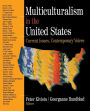 Multiculturalism in the United States: Current Issues, Contemporary Voices / Edition 1