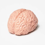 Alternative view 2 of Brain Fart: A Stress Ball for Mental Recall