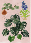Alternative view 2 of The Junior Plant Lover's Handbook: A Green-Thumb Guide for Kids